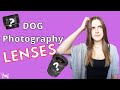 Which lens to get for DOG PHOTOGRAPHY? Comparing 50mm vs. 17-40mm lenses!