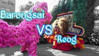 Adu Sakti..!!! Reog v barongsai||desa Sragi Sukorejo Ponorogo