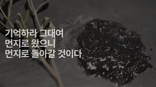 (playlist) 재의 수요일 오르간 묵상음악 Ash Wednesday Organ Meditation