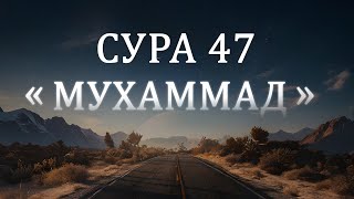 Сура 47 \