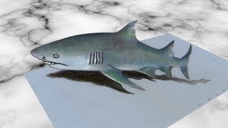 GREY SHARK ILLUSION - How to Draw 3D Shark - Trick Art by Vamos