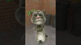 Funny Cat Must Watch       Watch Facebook Videos   Download   Share   Video Dailymotion