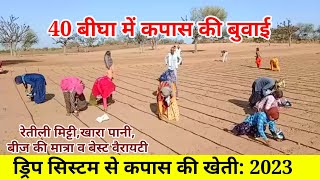 कपास की बुवाई। ड्रिप सिस्टम में बिजाई कैसे करें। नरमा की खेती।coton crop in drip irrigation