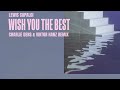 lewis capaldi wish you the best charlie dens u0026 viktor hanz remix