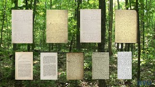 Joseph Smith's First Vision: Sacred Grove in Palmyra, New York