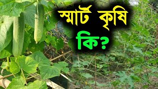 বাংলাদেশে আধুনিক কৃষি প্রযুক্তি ২০২৪ | স্মার্ট কৃষি কি | What is Smart Krishi | Grameen Boichitro