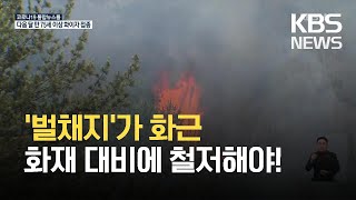 ‘꺼지지 않는 불씨’…벌채목 관리 시급 / KBS 2021.03.24.