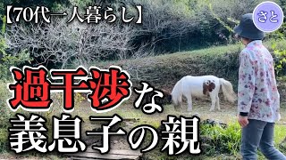 【70代一人暮らし】親子の不仲の原因に猫も飛びかかりました【シニアライフ】