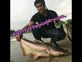 wolf fishing team ep.12 อัดบึกบึงจระเข้ใหญ่ ซ.วัดศรีวารีน้อย