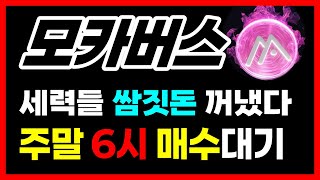 [모카버스 전망] 세력들 드디어 \