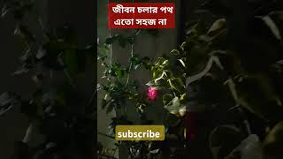 জীবন চলার পথে তো সহজ নয় #shorts #islam #islamic