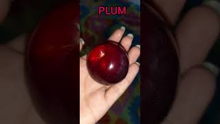 Plum Tree in My Home | Red plum | Aloobukhara | #plum  #fruit