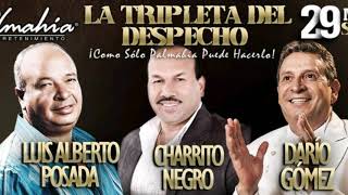 Luis Alberto posada, Charrito negro,Darío Gómez- la tripleta del despecho