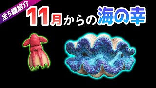 【あつ森】11月(南半球)から捕れる海の幸を紹介！オオシャコガイやコウモリダコなどベルも稼げるレアな生き物が登場！出現時間・影のサイズ・捕まえ方・値段について解説【11月　海の幸図鑑コンプリート】