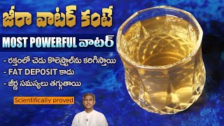 How to Reduce Cholesterol | Filters Blood | Improves Digestion | Dhaniyalu |Manthena's Health Tips