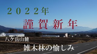 謹賀新年　今年もよろしくお願いします。