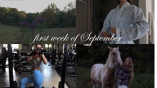 the first week of September: evenings at the farm, cooking, fav products