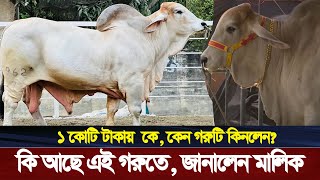 দেশের ইতিহাসের সবচেয়ে দামি গরু বিক্রি হল | বংশ মর্যাদাপূর্ণ ব্রাহমা গরু | expensive cow bangladesh