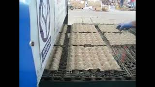 3000pcs/h automatic pulp egg tray machine