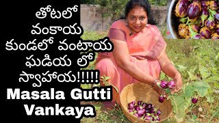 Food Lovers veg recipe/Mana Lifestyle/mana kooking - Masala Gutti Vankaya / masala Brinjal Curry