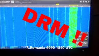 Receiving A DRM transmission using Openwebrx software.