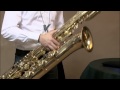 The new universal saxophone harness by Vandoren