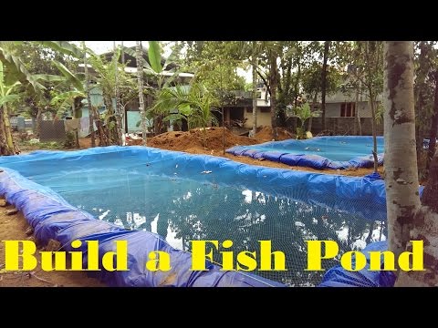 How to build a fish pond | Fish farming in Backyard How to build a fish pond | Fish farming in Backyard