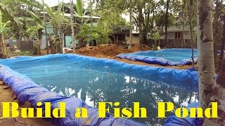 How to build a fish pond | Fish farming in Backyard | Fish tank