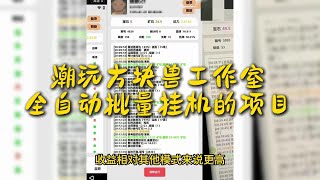 潮玩方块兽工作室全自动批量挂机的项目