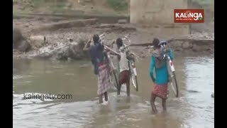 Boudh: Residents wade through water due to absence of bridge | Kalinga TV