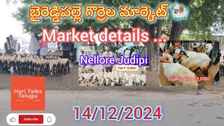 baireddipalle sheep market 🐏14/12/2024, Nellore Judipi,బైరెడ్డిపల్లె గొర్రెల మార్కెట్ వివరాలు...🐏