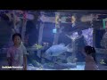 downtown aquarium houston. texas 休斯顿城市海洋馆