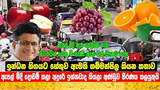 Minister Udaya Gammanpila blames fuel shortage in Sri Lanka | Fuel crisis | news | sri lanka economy