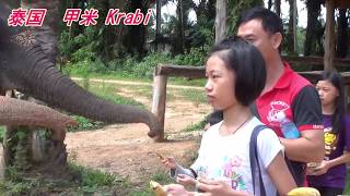 泰国甲米骑大象喂大象吃香蕉,真好玩!Elephant riding in Krabi, Thailand , it is really fun!