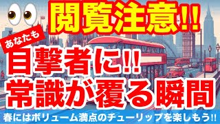 【閲覧注意】常識が覆る瞬間…あなたも目撃者になる⁉︎秋植え球根を植え付ける前に必ず見てください。Ver430【カーメン君】【チューリップ】【球根】【宿根草】