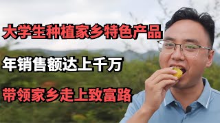 大学生种植家乡特色产品，年销售额达上千万，带领家乡走上致富路