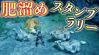 【MHRise】大社跡の有象無象100匹をクソまみれにしたい【モンハンライズ実況】