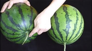 Watermelon is not sweet, see here to know, learn this little skill, watermelon a pick a quasi