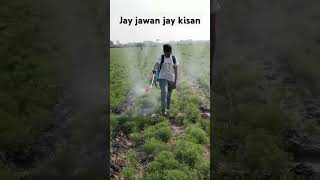 વિડિઓ ગમે તો લાઈક શેર ફોલોવ કરજો વાલા