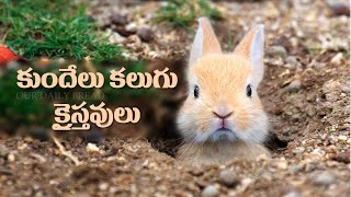 కుందేలు కలుగు క్రైస్తవులు | Our Daily Bread devotion in pictures | Word of GOD | Christian Messages