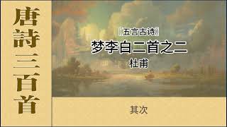 梦李白二首之二