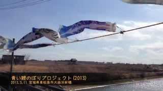 青い鯉のぼりプロジェクト 2013.3.11