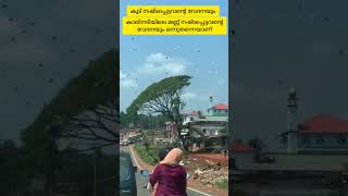 കൂട് നഷ്ടപ്പെട്ടവന്റെ വേദനയും കാലിനടിയിലെ മണ്ണ് നഷ്ടപ്പെട്ടവന്റെ വേദനയും ഒന്നുതന്നെയാണ്