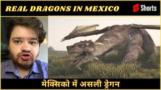 Dragon in Mexico 🐉 #shorts #dragon #footage