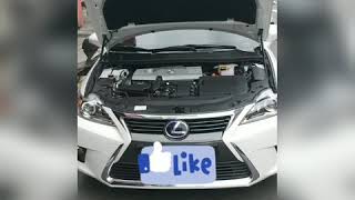 【晨達】LEXUS CT200H專用款引擎蓋支撐桿做動行程流暢！安裝免鑽孔，不會破壞車身，提升愛車更高級的質感！