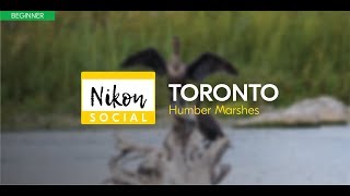 #nikonsocial – Humber Marshes, Toronto