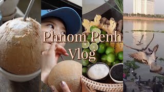 🇰🇭Vlog 初めてのCambodia Day3 プノンペンカフェ / イオンモール / スパ /購入品、お土産紹介