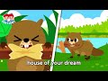 🏡houses of the animals oh no 🦝raccoon s house is gone animal songs for kids junytony