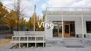 Vlog. 영주 부석사 아래 씨애틀 있더라..  이카페 미쳤네!!!  #오마이갓