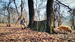 3 DAYS solo survival - Building Warm SHELTER, Survival Camping, Diy, Adventure